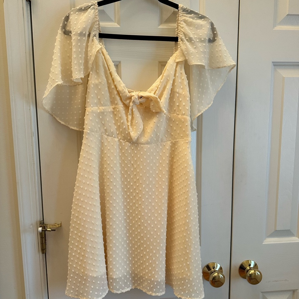 Cream Swis Dot Dress with Sheer Sleeves